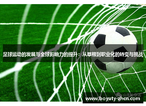 足球运动的发展与全球影响力的提升：从草根到职业化的转变与挑战