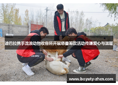 迪巴拉携手流浪动物收容所开展慈善筹款活动传递爱心与温暖