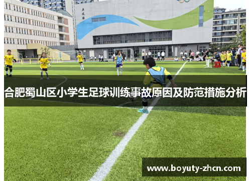 合肥蜀山区小学生足球训练事故原因及防范措施分析